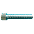 Minoura fixed nut trainer adaptor bolt for solid axle bikes on turbo trainer